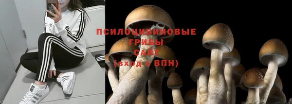 дурь Аркадак