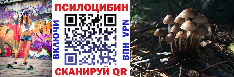 Псилоцибиновые грибы GOLDEN TEACHER  Купить  Княгинино 
