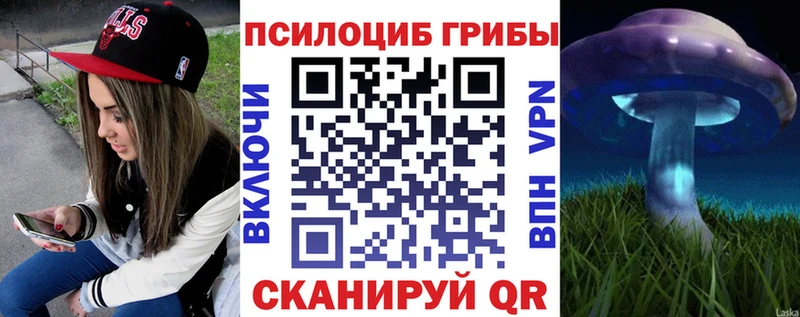 Псилоцибиновые грибы мицелий Княгинино